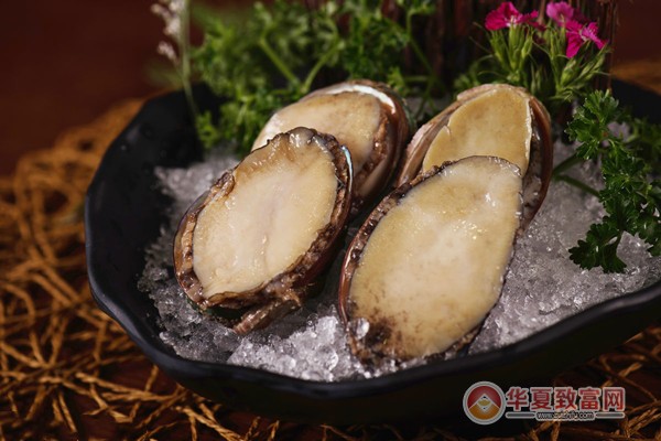 凯洋世界海鲜加盟